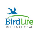 birdlife-international logo