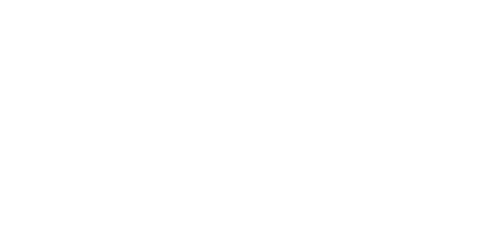 irish-revenue logo
